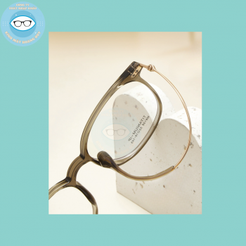 Gọng nhựa càng kính titanium mã 8138